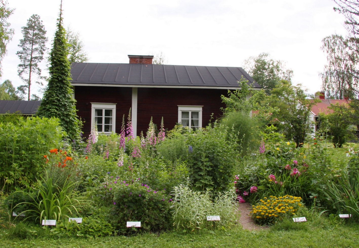 Saarijärven museo perinnekasvitarha