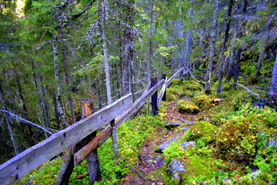Kulhanvuori Saarijärvi