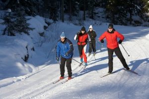 Paavonrinteet Kusiaismäki Saarijärvi