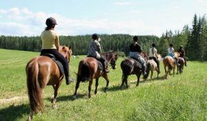 Purola Farm Saarijärvi