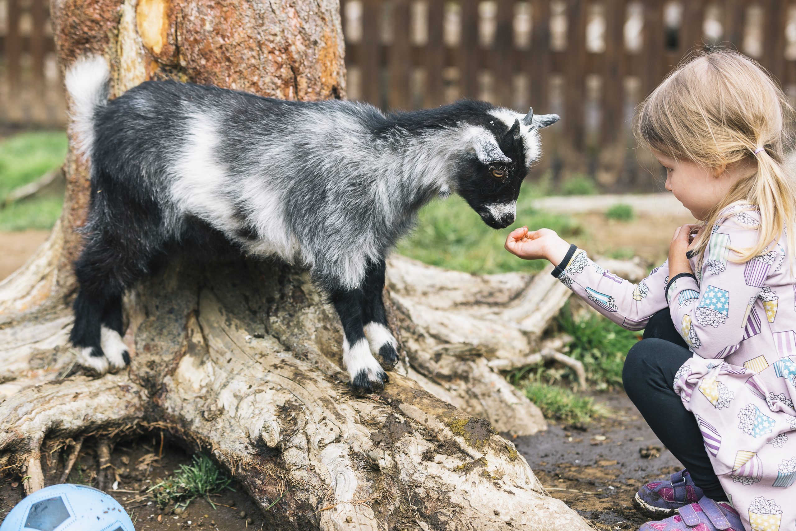 Puuhapuisto Veijari Saarijärvi