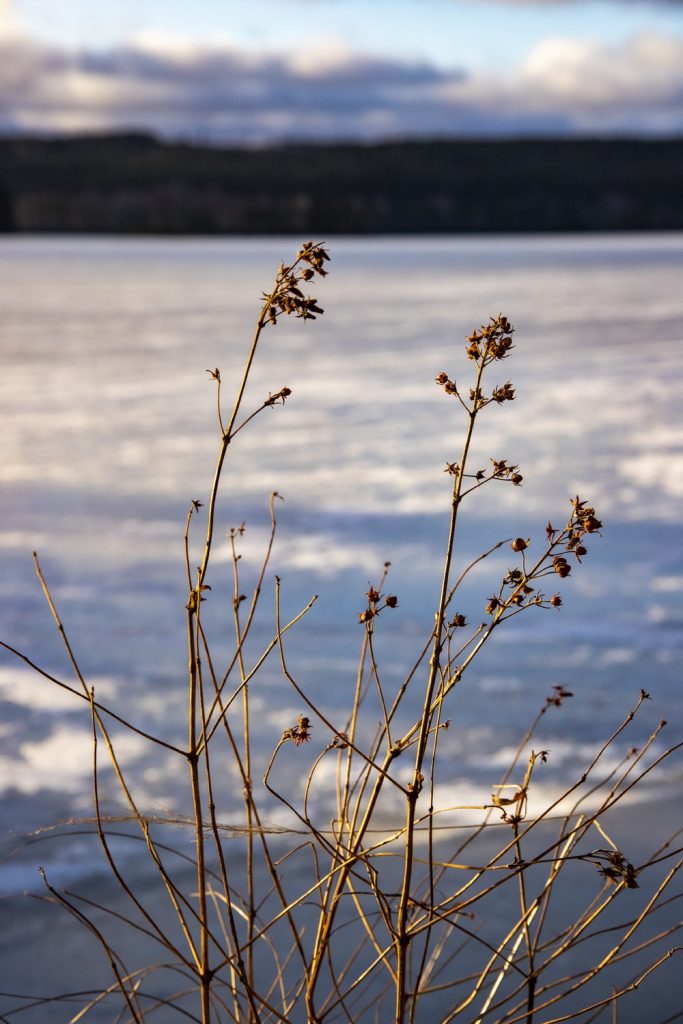 Saarijärvi kevät