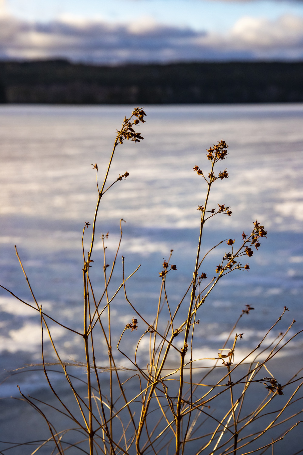 INFO Visit Saarijärvi