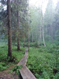 Koskelan tila Saarijärvi