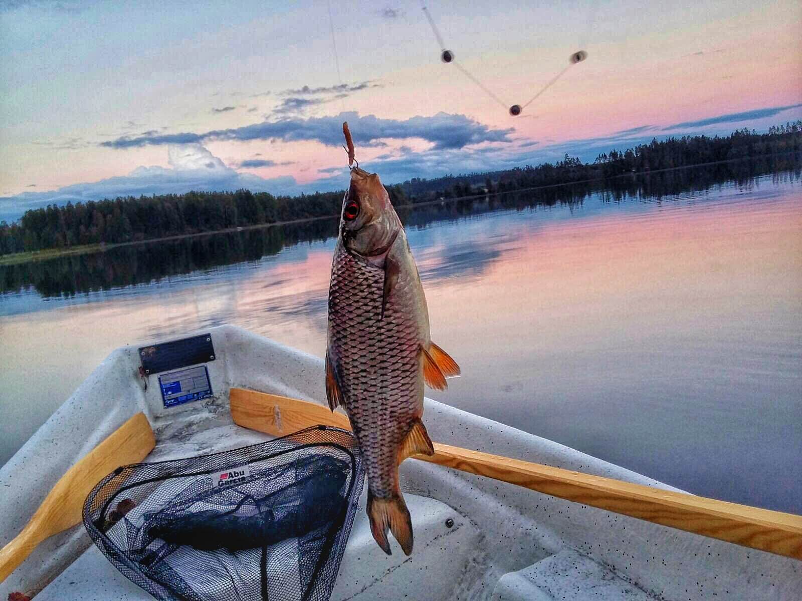 Jakolan tila Pylkönmäki Saarijärvi