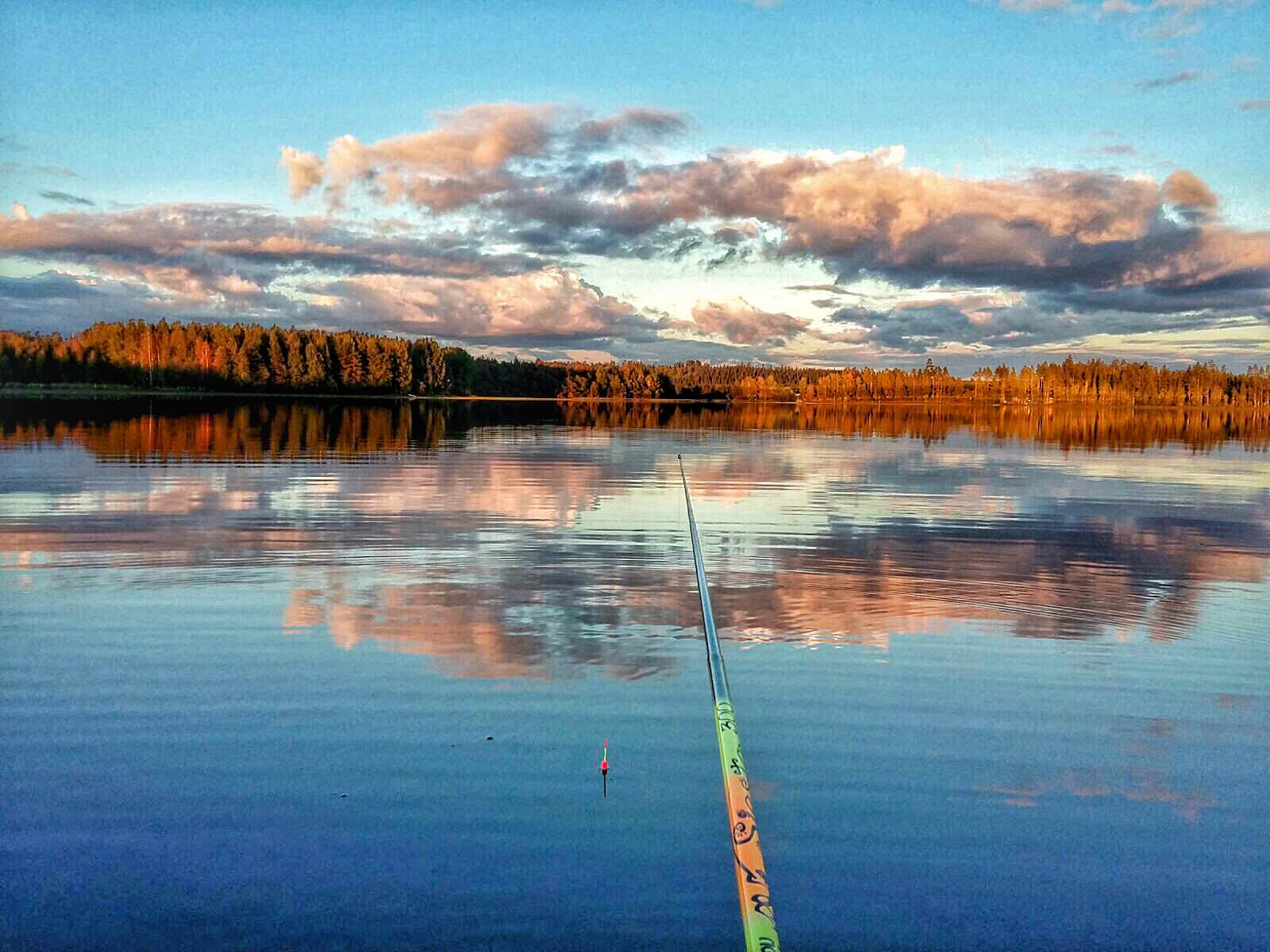 Jakolan tila Pylkönmäki Saarijärvi