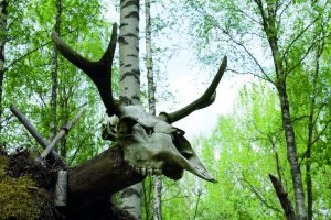 Kivikauden kylä Saarijärvi