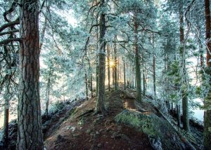 Marraskuu 2019 Haikankärki Saarijärvi