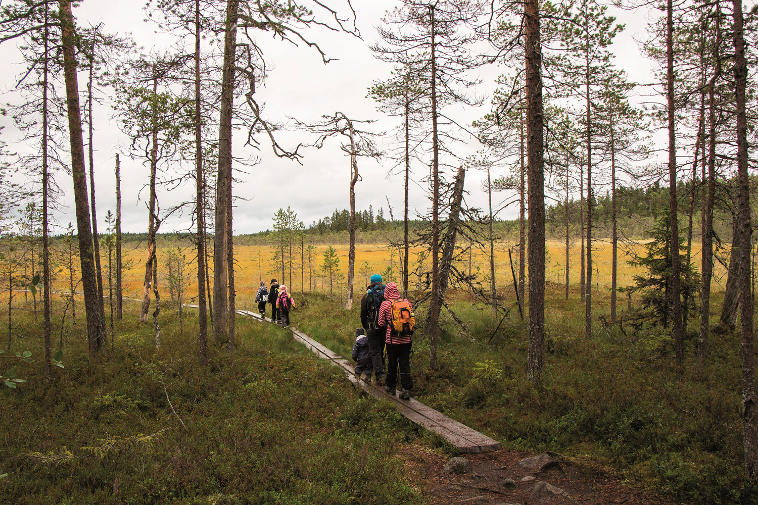 Pyhä-Häkin kansallispuisto Saarijärvi kuva Elina Lamminaho