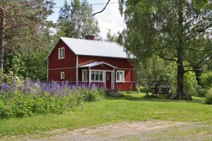 Saramaja Saarijärvi