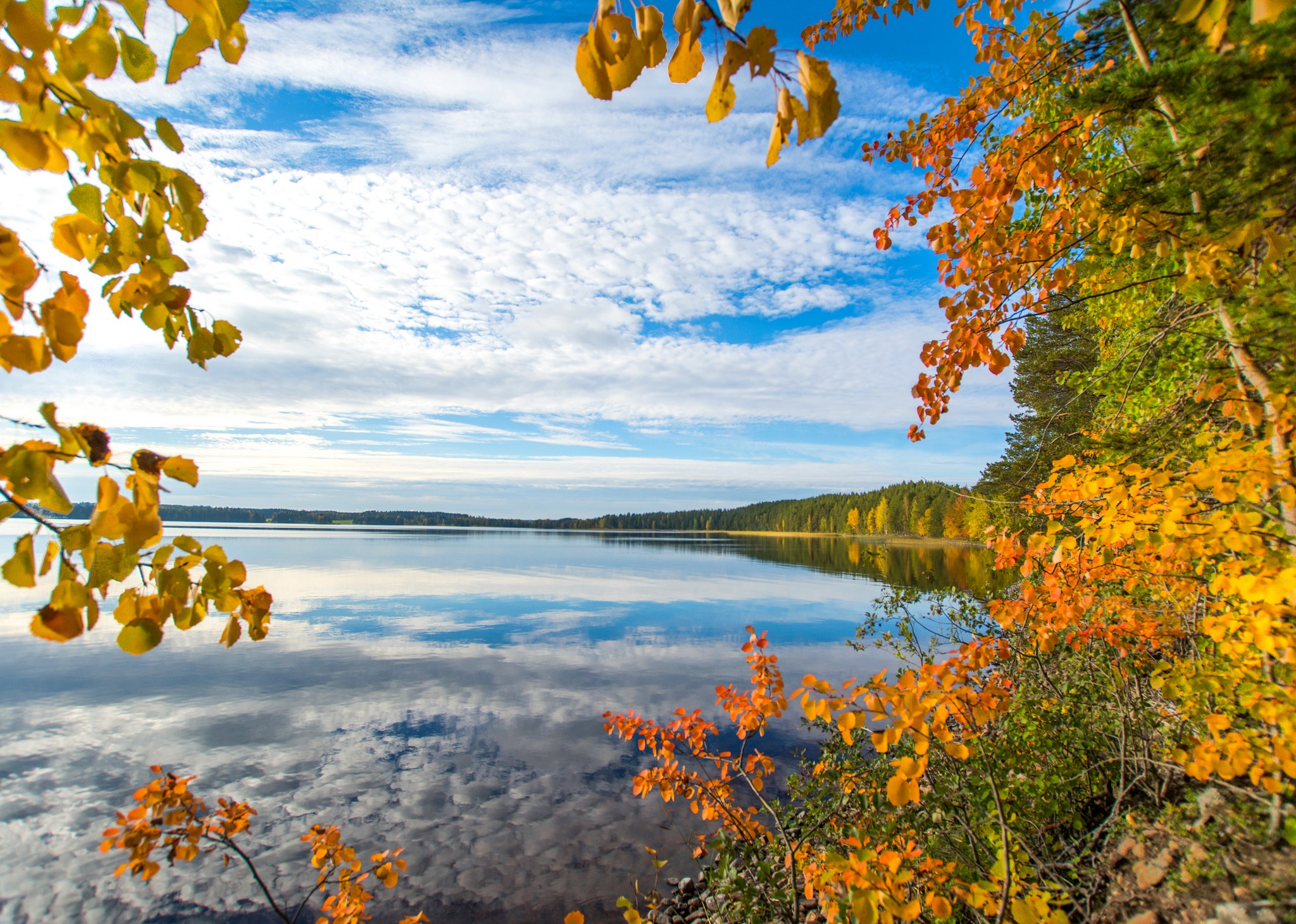 Syyskuu 2020 Haikankärki Saarijärvi