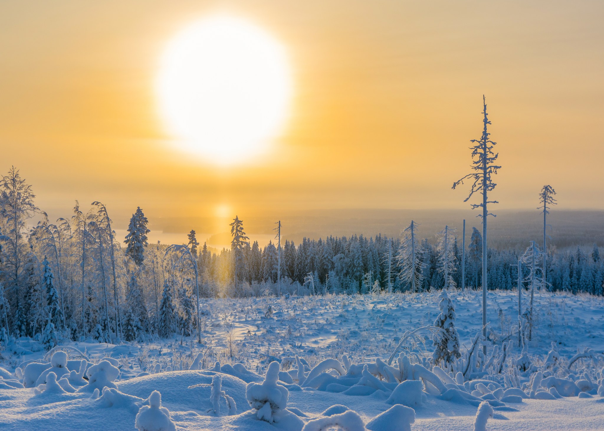 Tammikuu 2020 Kusiaismäki Saarijärvi