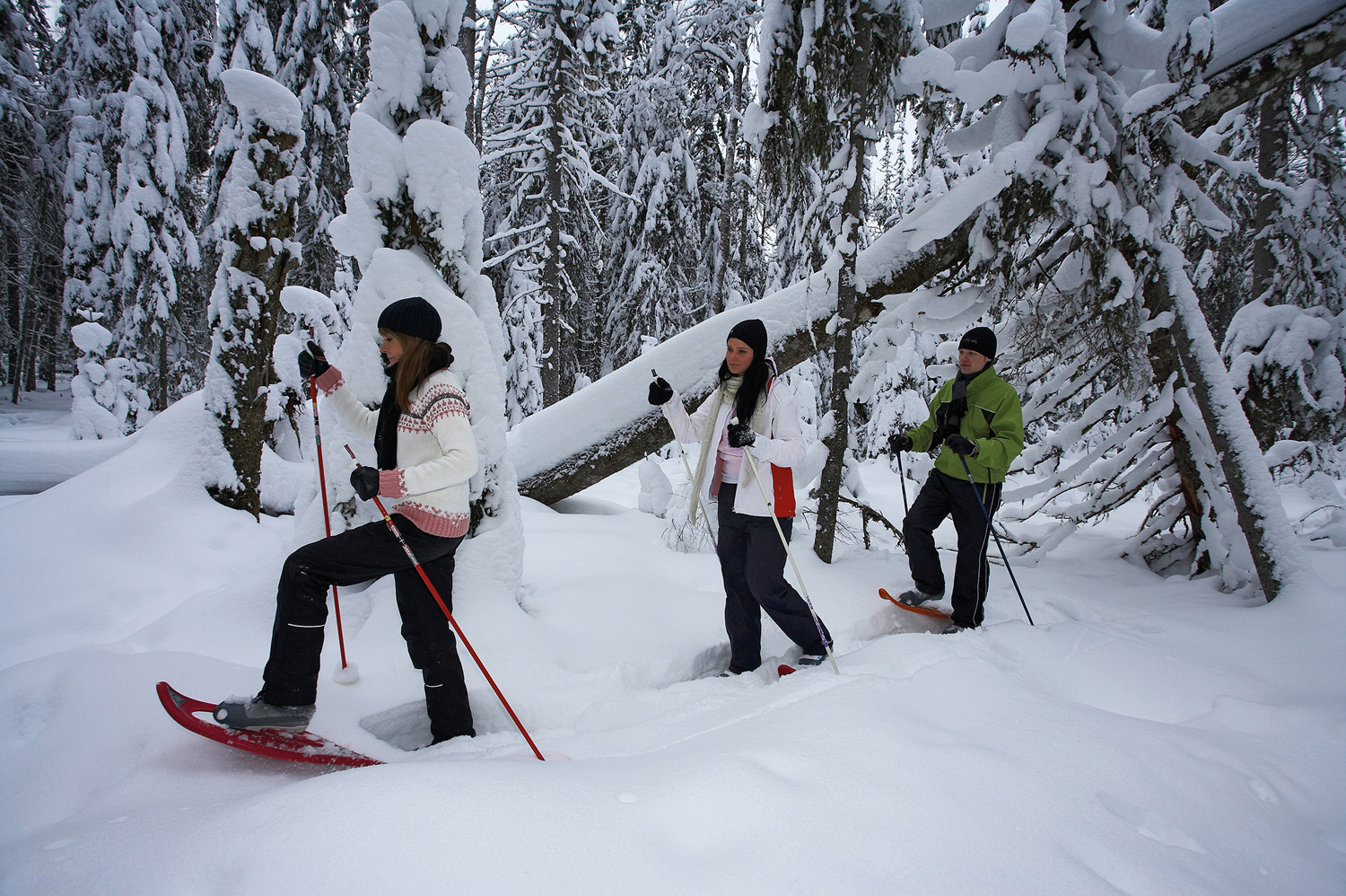 Välineet vuokraan, lumikengät