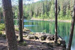 Julmat Lammit Saarijärvi