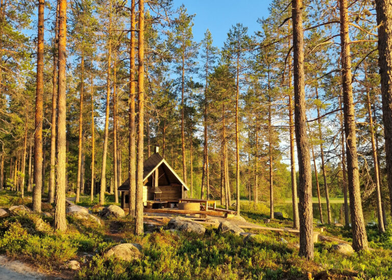 Papinkallio virkistysalue grillilaavu kesällä järven rannassa