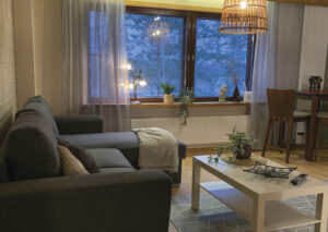 Sisustettu olohuone, sohva, sohvapöytä, matto ja kattolamppu