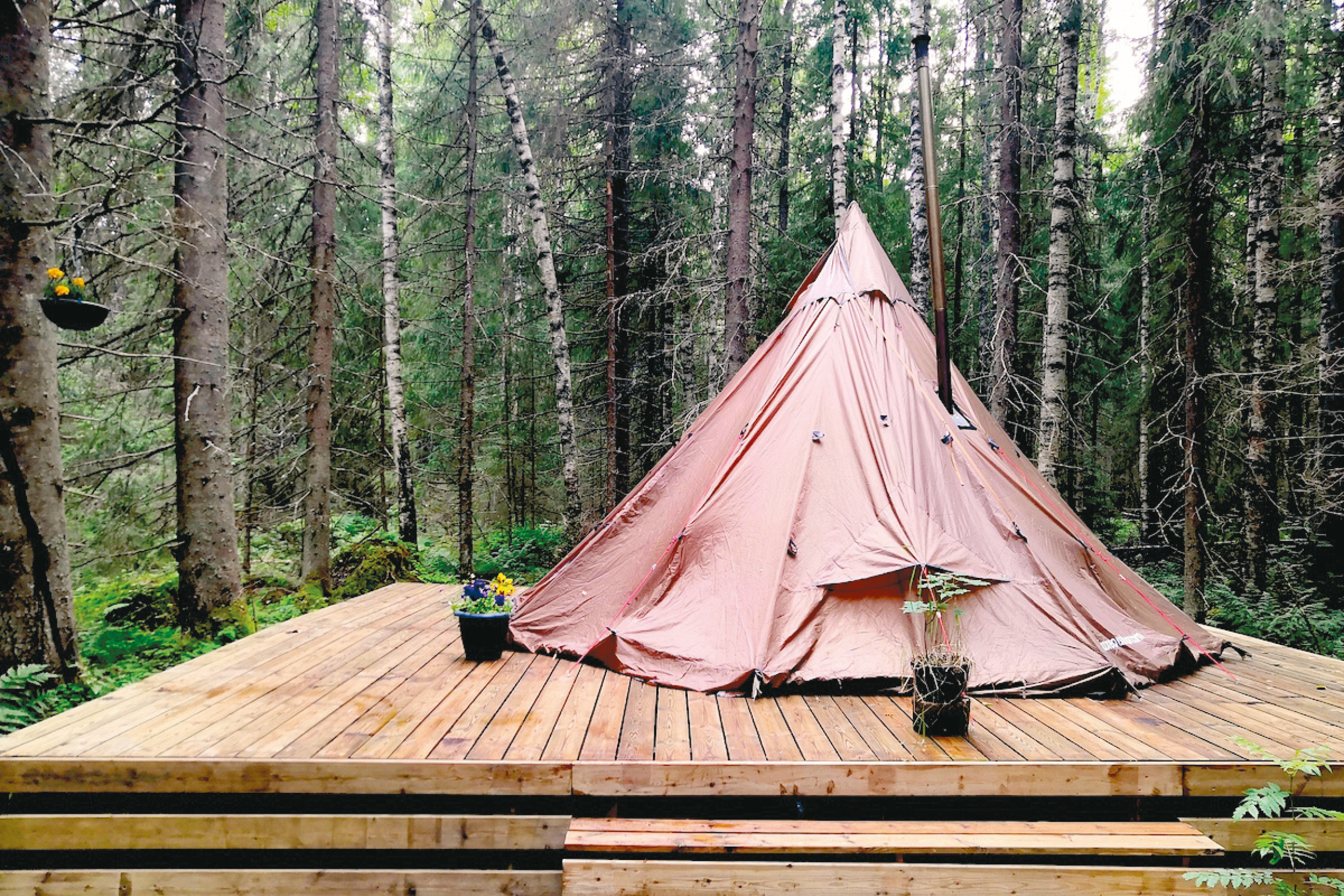 glamping teltta