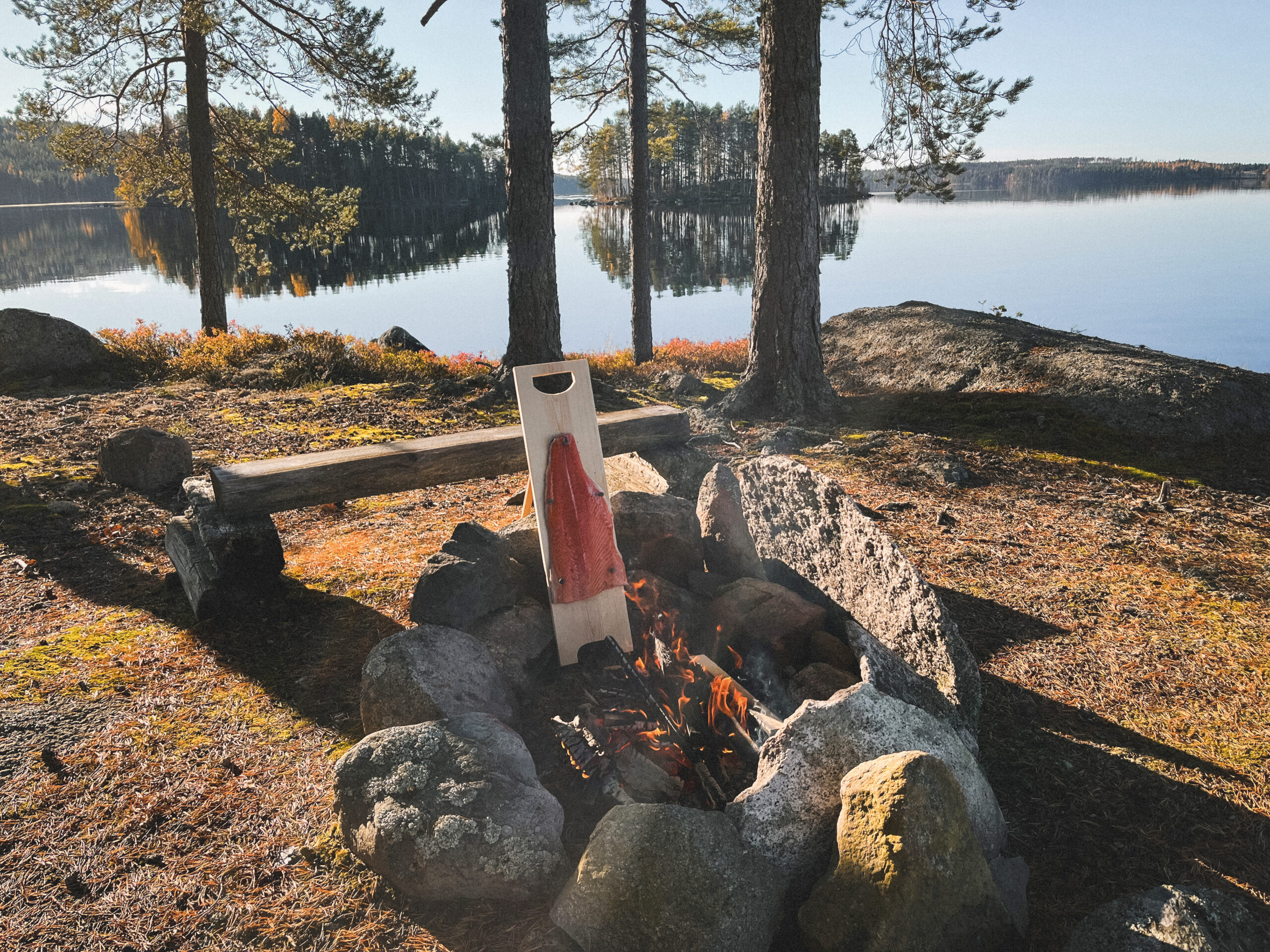 lohifile loimuuntumassa avotulella järvenrannalla